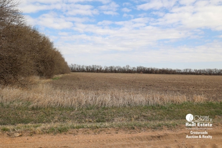 Moundridge McPherson County Kansas Premium Farmland Auction - image 5