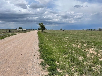 3-Acre Lot with Stunning Manzano Mountain Views For Sale - image 4