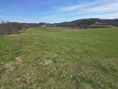 ** PENDING ** Farmland for Sale in Pulaski County VA! - image 3