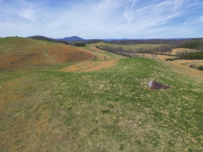 ** PENDING ** Farmland for Sale in Hiwassee VA! - image 6
