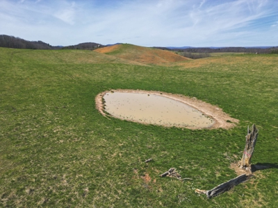 ** PENDING ** Farmland for Sale in Hiwassee VA! - image 4