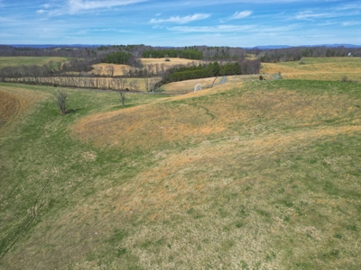 ** PENDING ** Farmland for Sale in Hiwassee VA! - image 12