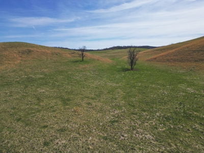 ** PENDING ** Farmland for Sale in Hiwassee VA! - image 11