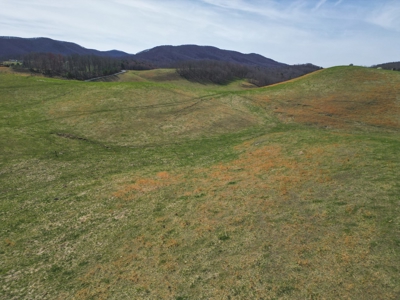 ** PENDING ** Farmland for Sale in Hiwassee VA! - image 7
