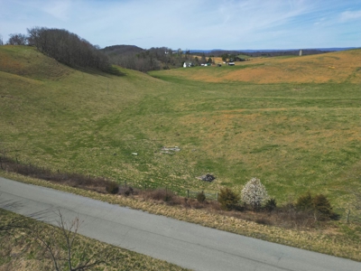 ** PENDING ** Open Farm Land in Hiwassee VA! - image 21