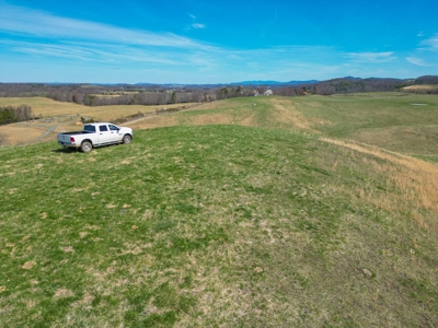 ** PENDING ** Open Farm Land in Hiwassee VA! - image 10