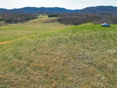 ** PENDING ** Open Farm Land in Hiwassee VA! - image 9