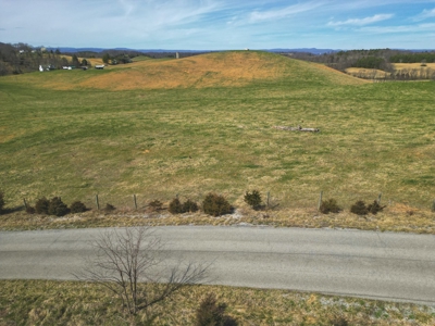 ** PENDING ** Open Farm Land in Hiwassee VA! - image 19