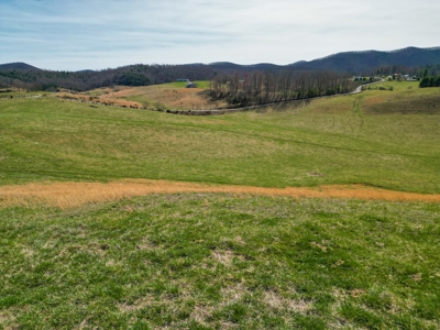 ** PENDING ** Open Farm Land in Hiwassee VA! - image 3