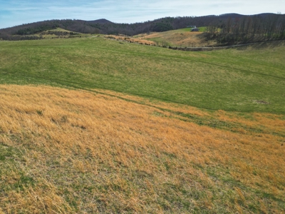 ** PENDING ** Open Farm Land in Hiwassee VA! - image 16