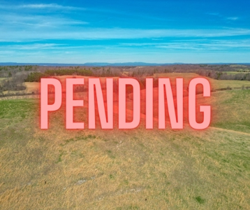 ** PENDING ** Open Farm Land in Hiwassee VA! - image 24