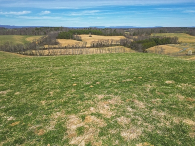 ** PENDING ** Open Farm Land in Hiwassee VA! - image 14