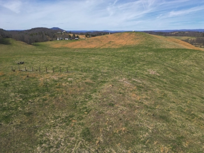 ** PENDING ** Open Farm Land in Hiwassee VA! - image 18