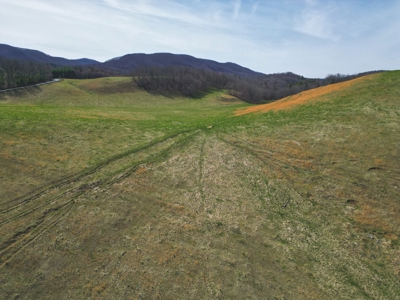 ** PENDING ** Open Farm Land in Hiwassee VA! - image 23