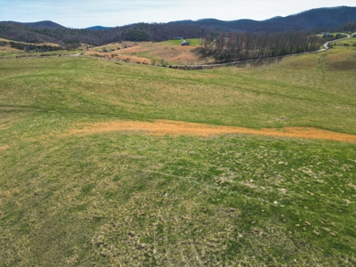 ** PENDING ** Open Farm Land in Hiwassee VA! - image 7