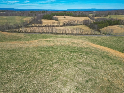 ** PENDING ** Open Farm Land in Hiwassee VA! - image 6