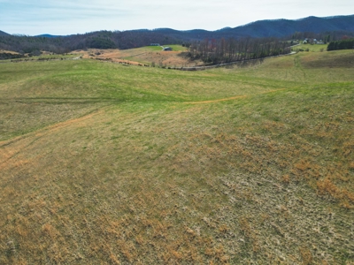 ** PENDING ** Open Farm Land in Hiwassee VA! - image 8