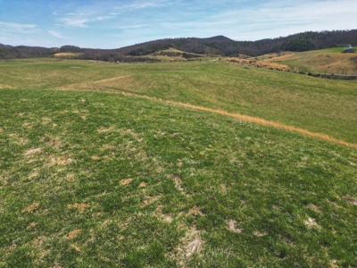 ** PENDING ** Open Farm Land in Hiwassee VA! - image 15