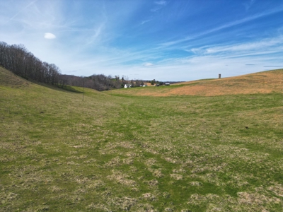 ** PENDING ** Farmhouse and Land for Sale in Hiwassee VA! - image 26