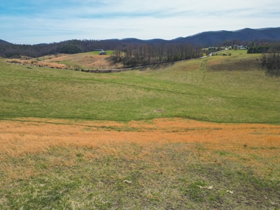 ** PENDING ** Farmhouse and Land for Sale in Hiwassee VA! - image 25