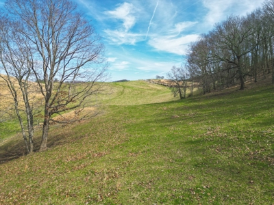 ** PENDING ** Recreational Land for Sale in Hiwassee VA! - image 12