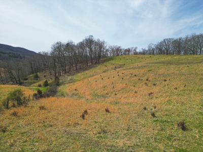 ** PENDING ** Recreational Land for Sale in Hiwassee VA! - image 7
