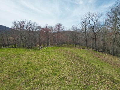 ** PENDING ** Recreational Land for Sale in Hiwassee VA! - image 8