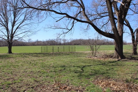 39 Acre Farmstead with House in Vernon County, MO - image 15