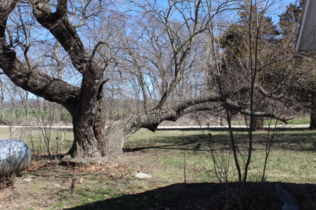 39 Acre Farmstead with House in Vernon County, MO - image 17