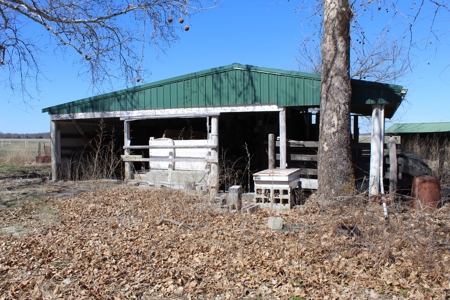 39 Acre Farmstead with House in Vernon County, MO - image 4