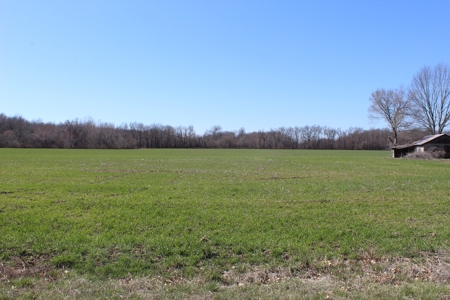 39 Acre Farmstead with House in Vernon County, MO - image 2