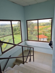 Gorgeous mountain house, investment in las Yayas, Chorrera - image 7