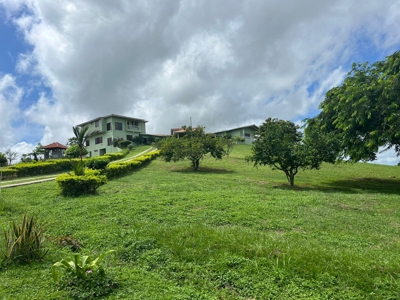 Gorgeous mountain house, investment in las Yayas, Chorrera - image 26