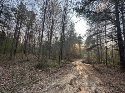 531 Acres Hunting Land Camp Lake for Sale SW MS - image 41