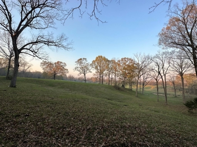531 Acres Hunting Land Camp Lake for Sale SW MS - image 3