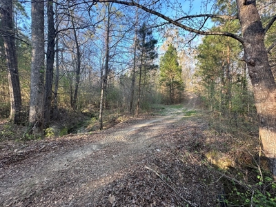 531 Acres Hunting Land Camp Lake for Sale SW MS - image 35