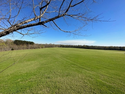 531 Acres Hunting Land Camp Lake for Sale SW MS - image 18