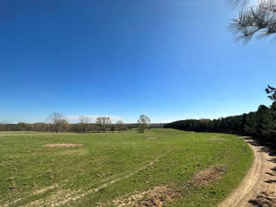 531 Acres Hunting Land Camp Lake for Sale SW MS - image 17