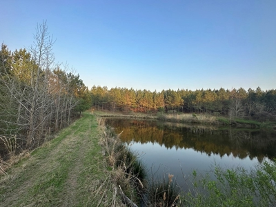 531 Acres Hunting Land Camp Lake for Sale SW MS - image 43