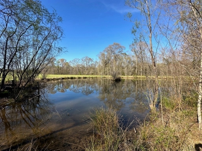 531 Acres Hunting Land Camp Lake for Sale SW MS - image 22