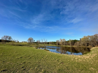 531 Acres Hunting Land Camp Lake for Sale SW MS - image 23
