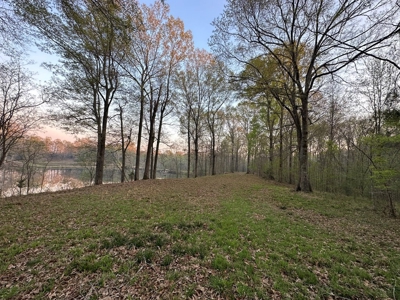 531 Acres Hunting Land Camp Lake for Sale SW MS - image 7