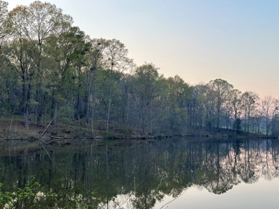531 Acres Hunting Land Camp Lake for Sale SW MS - image 12