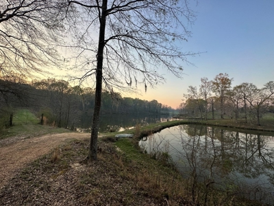 531 Acres Hunting Land Camp Lake for Sale SW MS - image 10