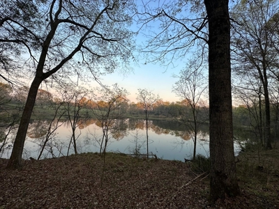 531 Acres Hunting Land Camp Lake for Sale SW MS - image 8