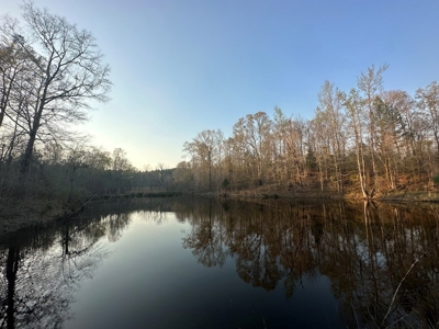 531 Acres Hunting Land Camp Lake for Sale SW MS - image 42