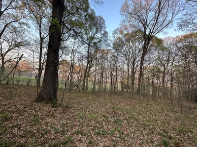 531 Acres Hunting Land Camp Lake for Sale SW MS - image 4