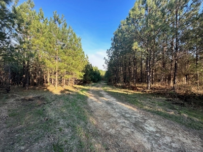 531 Acres Hunting Land Camp Lake for Sale SW MS - image 32