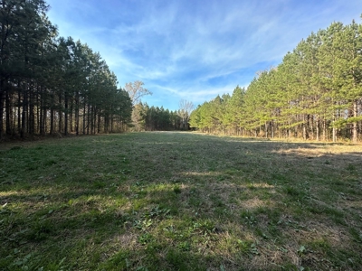 531 Acres Hunting Land Camp Lake for Sale SW MS - image 27