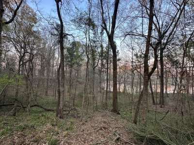 531 Acres Hunting Land Camp Lake for Sale SW MS - image 6